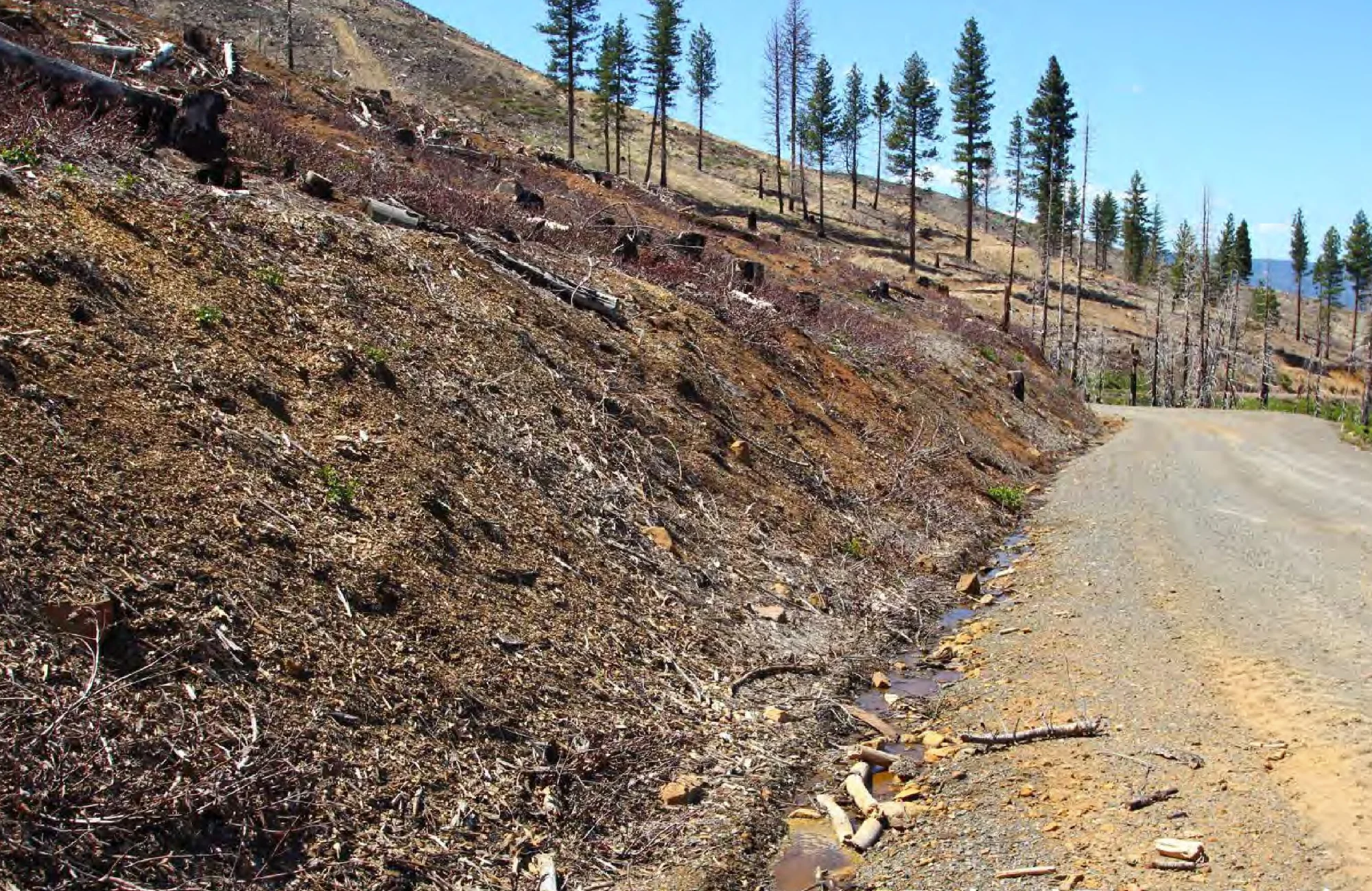Runoff in a U.S. Forest Service road gutter below steep, post-fire forestry land near Gold Run Road in Lassen County, California.